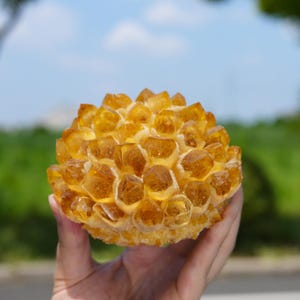 Puede incluir: Un racimo esférico de cristales de citrino de color amarillo dorado translúcido. La formación presenta numerosas terminaciones cristalinas hexagonales puntiagudas que irradian hacia afuera desde un punto central, creando un espécimen mineral texturizado.