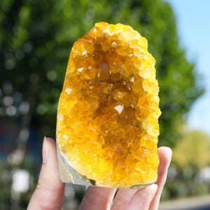 Könnte beinhalten: Eine vertikale Citrin-Geode mit einer Ansammlung von leuchtenden, durchscheinenden goldgelben Kristallen. Der innere Hohlraum ist dicht mit facettierten, spitzen Kristallformationen gefüllt, während die äußere Basis aus rauem, grauem Gestein besteht.