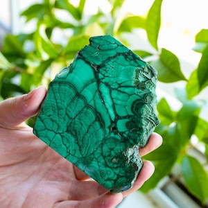 May include: A polished slab of malachite mineral featuring vibrant shades of deep forest green and bright emerald green. The stone displays intricate, concentric banding patterns and natural dark veining throughout its flat, irregular surface.