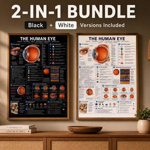 Könnte beinhalten: Ein 2-in-1-Set aus zwei Lehrpostern mit dem Titel The Human Eye, die detaillierte anatomische Diagramme, Querschnitte und Textbeschriftungen zeigen. Ein Poster hat einen schwarzen Hintergrund mit weißem Text, das andere einen weißen Hintergrund mit schwarzem Text.