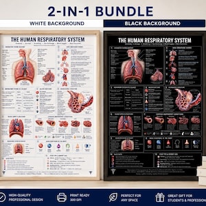 May include: A 2-in-1 bundle of educational posters titled The Human Respiratory System, featuring one print with a white background and one with a black background. Both posters display detailed anatomical diagrams of lungs, airways, and blood supply.