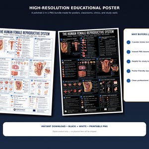 May include: Two educational posters titled The Human Female Reproductive System, one with a white background and one with a black background. Both feature detailed anatomical diagrams, text labels, and sections explaining anatomy, cycles, and functions.