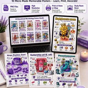 May include: A digital download bundle of 10 educational microbiology posters featuring colorful illustrations of bacteria and viruses. The posters include detailed scientific information, diagrams, and memory hooks for studying pathogens like Staphylococcus aureus.