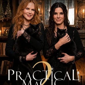 May include: A movie poster featuring Nicole Kidman and Sandra Bullock, each holding a black cat. Both wear black long-sleeved dresses with lace detailing. The text at the top reads STARRING NICOLE KIDMAN & SANDRA BULLOCK, and the title reads PRACTICAL MAGIC 2.