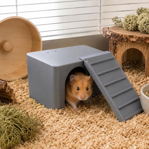 Esconderijo para Hamster Impresso em 3D | Abrigo para Hamsters Anões e Sírios | Esconderijo para Roedores | Acessório para Gaiola | Decoração de Habitat