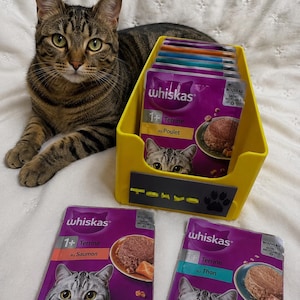 Könnte beinhalten: Eine braune getigerte Katze sitzt neben einem gelben Kunststoffbehälter mit mehreren violetten Whiskas-Katzenfutterbeuteln, die als 1+ Terrine au Poulet gekennzeichnet sind. Zwei weitere Beutel, 1+ Terrine au Saumon und 1+ Terrine au Thon, liegen vor dem Behälter.