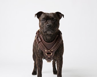 Handmade Genuine Leather Dog Harness, Adjustable Heavy-Duty Pet Walking Gear
