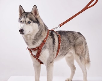 Handmade Genuine Leather Dog Harness, Adjustable Walking Harness for Large Breeds
