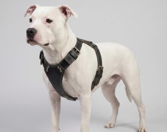 Genuine Leather Dog Harness, Adjustable Pitbull Training Vest, Handmade Large Breed Control