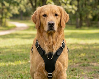 Handmade Genuine Leather Dog Harness, Adjustable Walking Harness for Large Breeds