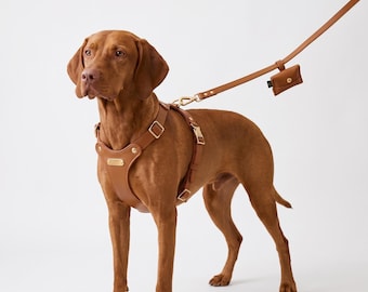 Handmade Genuine Leather Dog Harness, Adjustable Walking Harness for Large Breeds