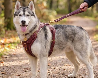 Handmade Genuine Leather Dog Harness, Adjustable Heavy-Duty Pet Walking Gear
