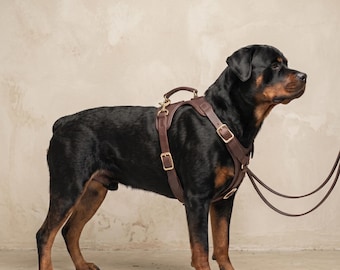 Handmade Genuine Leather Dog Harness, Adjustable Walking Harness for Large Breeds