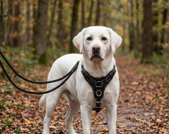 Handmade Genuine Leather Dog Harness, Adjustable Comfort Walking Training Harness