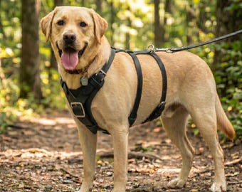 Handmade Genuine Leather Dog Harness, Adjustable Walking Harness for Large Breeds