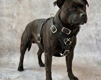 Handmade Leather Dog Harness, Adjustable Staffy Pitbull Walking Control