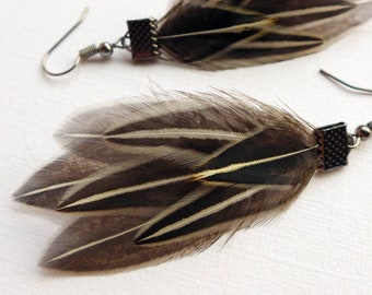 Feather Earrings, pinstripe feather earrings, junglefowl feather jewelry for her