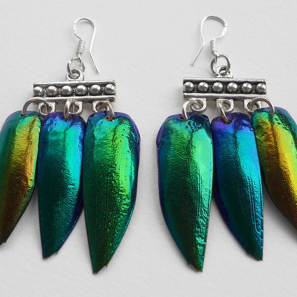 Beetle Wing earrings, Jewel Beetle Elytra Dangle Earrings