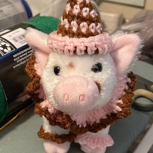 Small Clown Pig