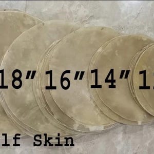 Op de afbeelding: Een collectie ronde trommelvellen van buffel- en kalfsleer in verschillende maten variërend van 25 cm tot 56 cm in diameter. De vellen hebben een medium tot dikke textuur en zijn op een rij gerangschikt, gelabeld met hun maten in inches.