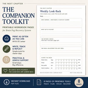 May include: A printable workbook page titled The Next Chapter Weekly Look-Back for a brain fog recovery system. The document includes sections for tracking what worked, obstacles, patterns, and adjustments, plus a scale for weekly scores.