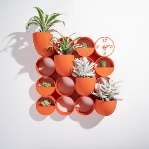 Könnte beinhalten: Ein modulares Wandgitter-System mit leuchtend orangefarbenen, kreisförmigen Behältern. Mehrere Behälter enthalten grüne und silberfarbene Sukkulenten, während eine kreisförmige Einheit ein weißes Zifferblatt mit orangefarbenen Zahlen und Zeigern aufweist.