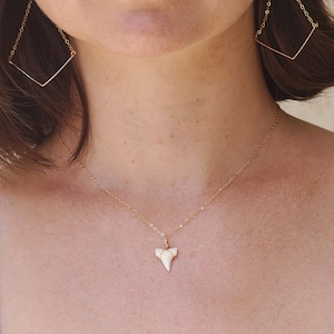 Dainty shark top tooth necklace
