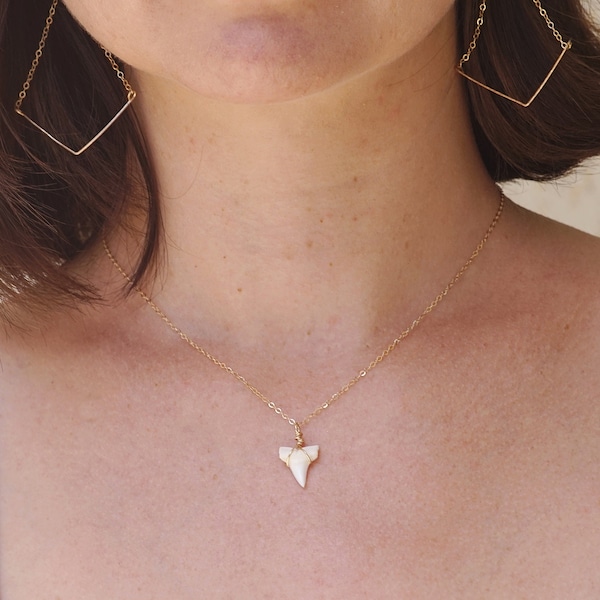 Dainty Gold Shark Tooth Necklace, Real White Shark Tooth, Tiny Shark Tooth Necklace, Gold Filled Chain Necklace, Rose Gold Necklace, Silver