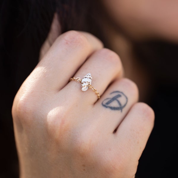 Tulip Shell Ring, Gold chain Shell Ring, Seashell Ring, Dainty Chain Ring with Shell, Seashell Jewelry, Minimalist Beach Jewelry for Her