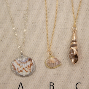 Op de afbeelding: Drie gouden kettingen met verschillende schelp hangers. De eerste ketting heeft een grote, waaiervormige schelp hanger. De tweede ketting heeft een kleinere, ronde schelp hanger. De derde ketting heeft een lange, puntige schelp hanger.