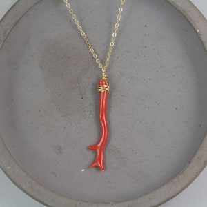 Puede incluir: Un collar de cadena dorada con un colgante de rama de coral rojo. El coral est&aacute; envuelto con alambre dorado en la parte superior.