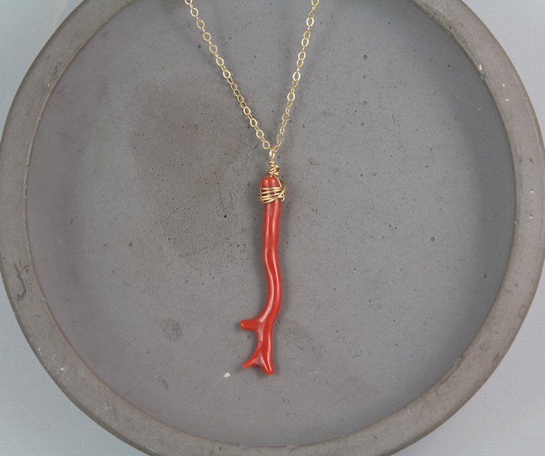 Puede incluir: Un collar de cadena dorada con un colgante de rama de coral rojo. El coral est&aacute; envuelto con alambre dorado en la parte superior.