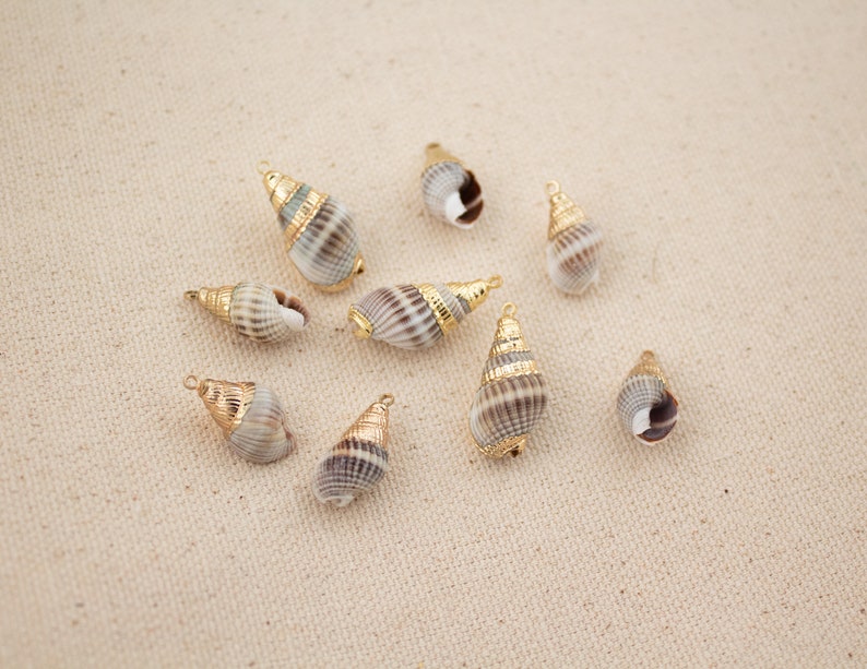 Collier de conques, collier de coquillages en or, bijoux à pendentif véritable coquillage, petit collier de coquillages, collier plage été image 8