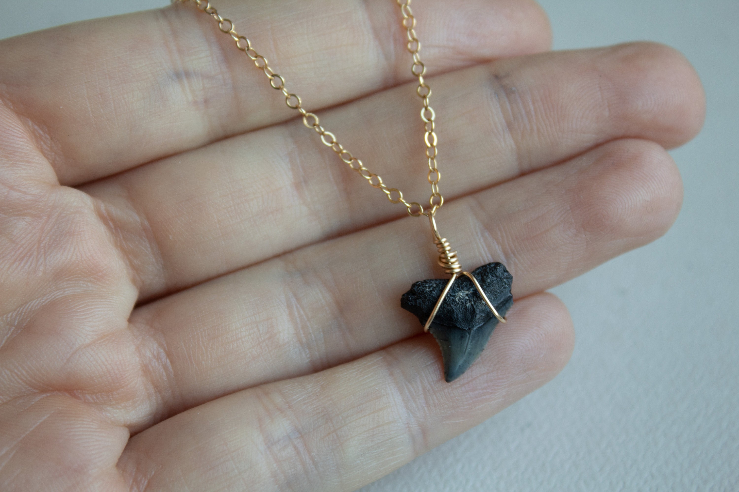Shark Tooth Necklace With Black Beads – Real Shark Tooth Necklaces