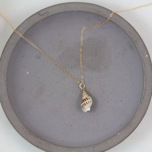 Collier de conques, collier de coquillages en or, bijoux à pendentif véritable coquillage, petit collier de coquillages, collier plage été image 6