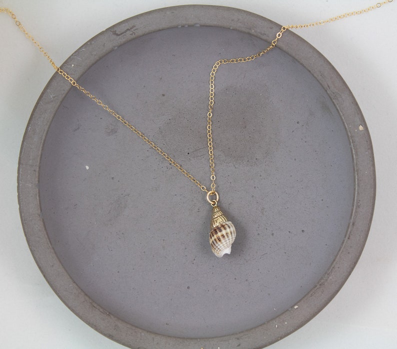 Collier de conques, collier de coquillages en or, bijoux à pendentif véritable coquillage, petit collier de coquillages, collier plage été image 6