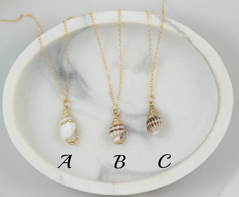 Collier de conques, collier de coquillages en or, bijoux à pendentif véritable coquillage, petit collier de coquillages, collier plage été image 2