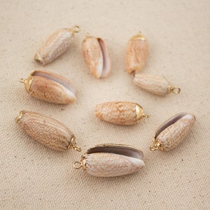 Natural Seashell Necklace Gold Filled, Big Seashell Necklace, Gold ...