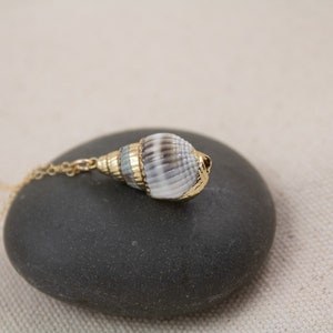 Collier de conques, collier de coquillages en or, bijoux à pendentif véritable coquillage, petit collier de coquillages, collier plage été image 3