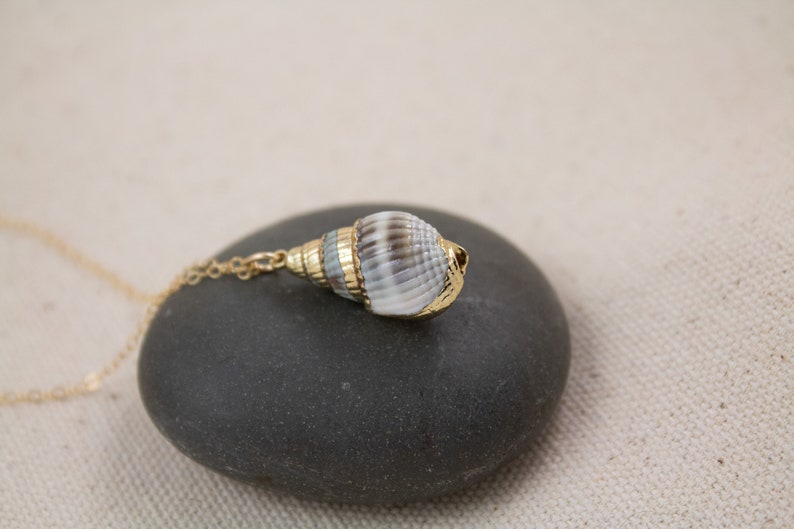Collier de conques, collier de coquillages en or, bijoux à pendentif véritable coquillage, petit collier de coquillages, collier plage été image 3