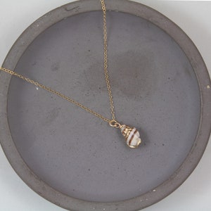 Collier de conques, collier de coquillages en or, bijoux à pendentif véritable coquillage, petit collier de coquillages, collier plage été image 7