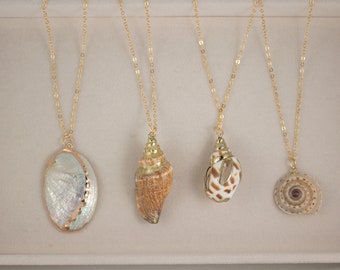 Gold Shell Necklace Seashell Necklace Gold Abalone Shell Necklace Conch Shell Necklace Paua Shell Pendant Summer Necklace Beach Necklace
