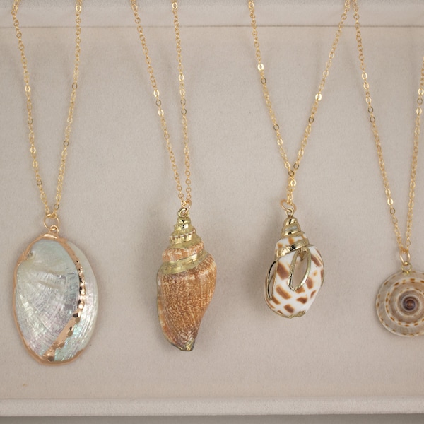 Gold Shell Necklace Seashell Necklace Gold Abalone Shell Necklace Conch Shell Necklace Paua Shell Pendant Summer Necklace Beach Necklace
