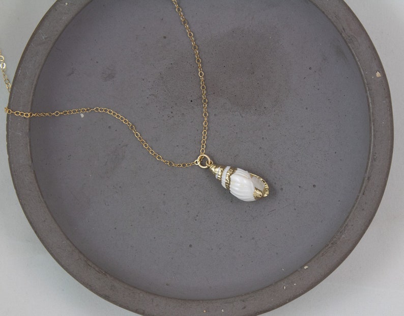 Collier de conques, collier de coquillages en or, bijoux à pendentif véritable coquillage, petit collier de coquillages, collier plage été image 5