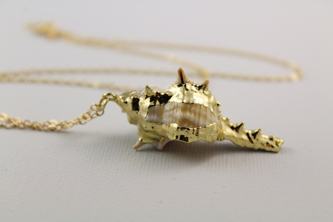 Snail Shell Necklace Big Seashell Necklace Conch Shell Etsy