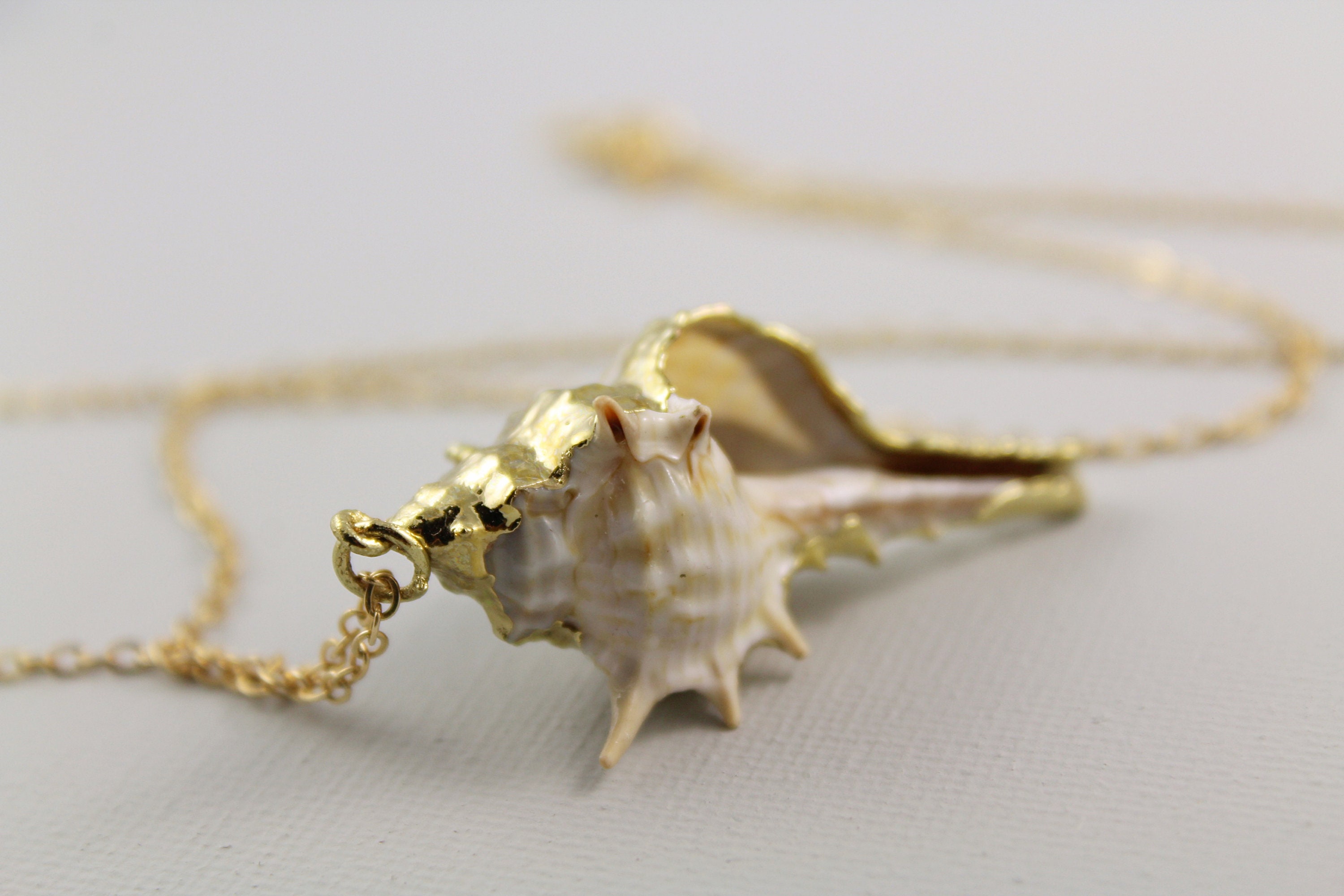 Snail Shell Necklace Big Seashell Necklace Conch Shell Etsy