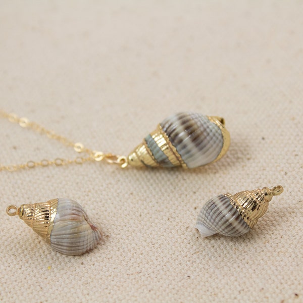 Conch Shell necklace, Seashell Necklace Gold Shell Necklace, Real Seashell Pendant Jewelry, Tiny Shell Necklace, Beach Summer Necklace