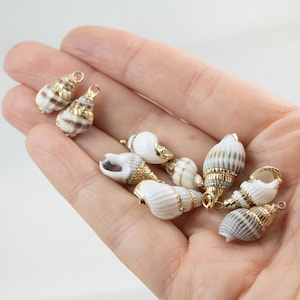 Collier de conques, collier de coquillages en or, bijoux à pendentif véritable coquillage, petit collier de coquillages, collier plage été image 9