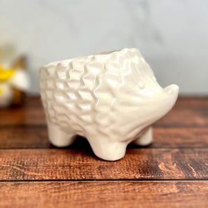 Cute Animal Hedgehog Succulent Planter Pot • Indoor Planter • Houseplant Pot • Gift for Her • Gardening Gifts