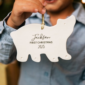 Polar Bear Ornament, Personalized Baby's First Christmas Ornament, Baby Christmas Gift, Bear Ornament, My 1st Christmas, New Baby Gift
